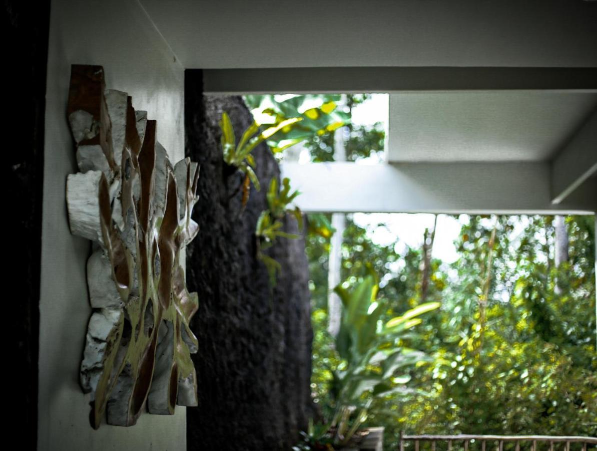 Angsoka Bungalow อูบุด ภายนอก รูปภาพ