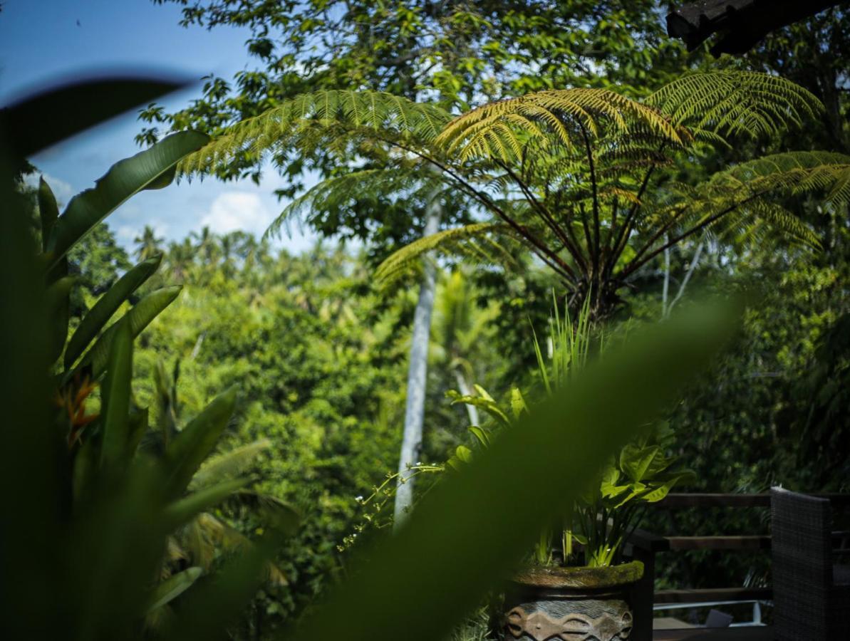 Angsoka Bungalow อูบุด ภายนอก รูปภาพ
