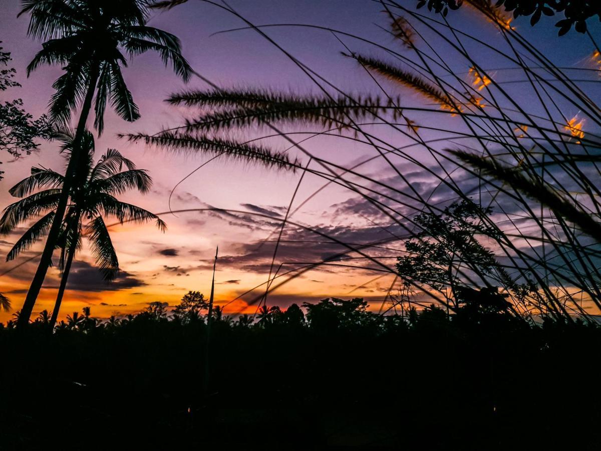 Angsoka Bungalow อูบุด ภายนอก รูปภาพ